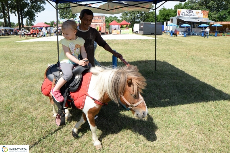 Megkezdődött a Fakanál Fesztivál Nyírszőlősön - fotó Trifonov Éva