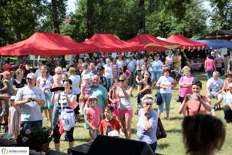 Megkezdődött a Fakanál Fesztivál Nyírszőlősön - fotó Trifonov Éva