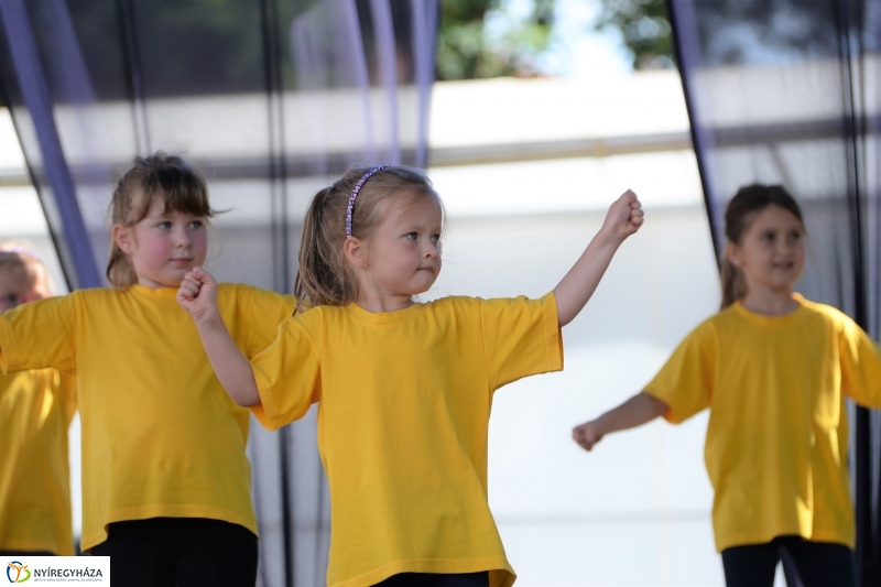 Megkezdődött a Fakanál Fesztivál Nyírszőlősön - fotó Trifonov Éva