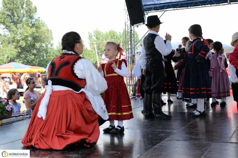Fakanál Fesztivál Nyírszőlősön - fotó Trifonov Éva