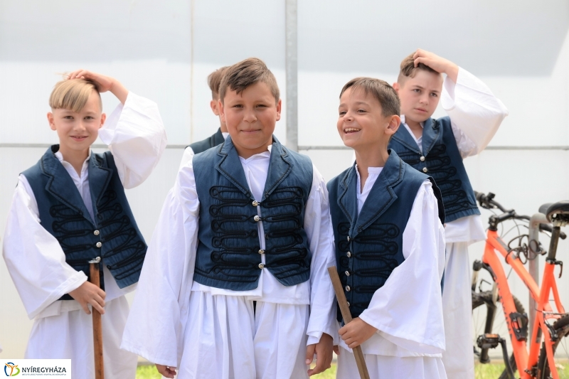 Fakanál Fesztivál Nyírszőlősön - fotó Trifonov Éva