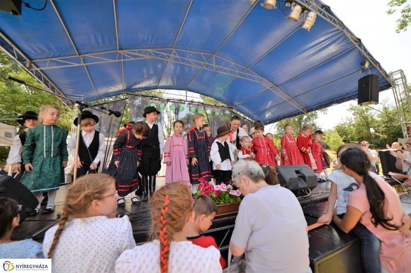 Fakanál Fesztivál Nyírszőlősön - fotó Trifonov Éva