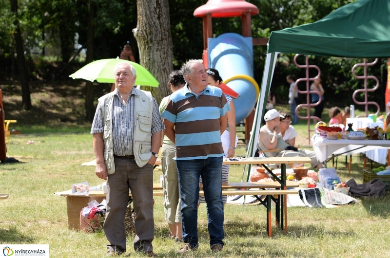 Fakanál Fesztivál Nyírszőlősön - fotó Trifonov Éva
