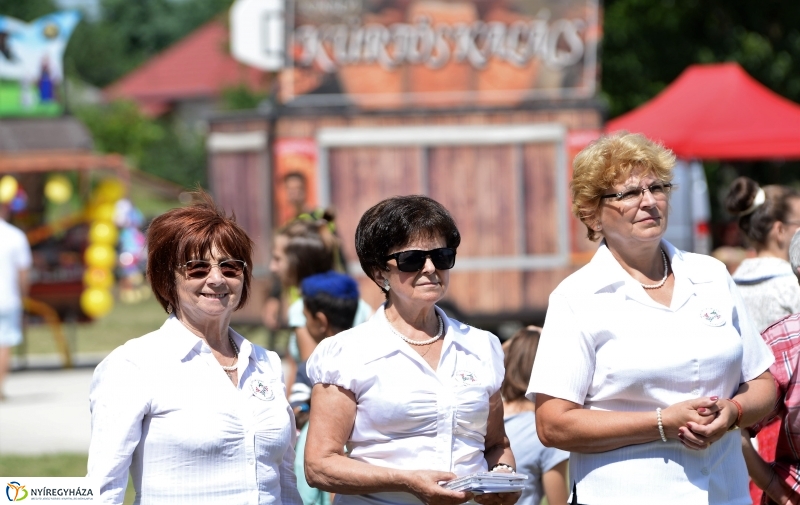 Fakanál Fesztivál Nyírszőlősön - fotó Trifonov Éva