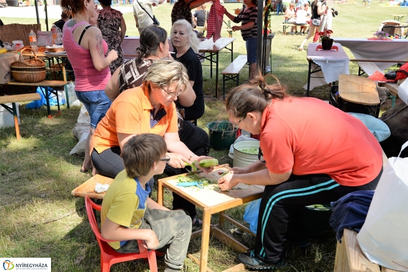 Fakanál Fesztivál Nyírszőlősön - fotó Trifonov Éva