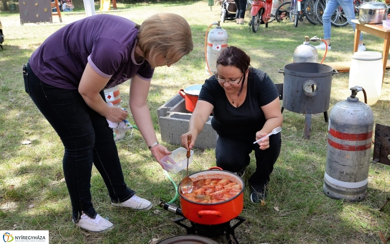 Fakanál Fesztivál Nyírszőlősön - fotó Trifonov Éva