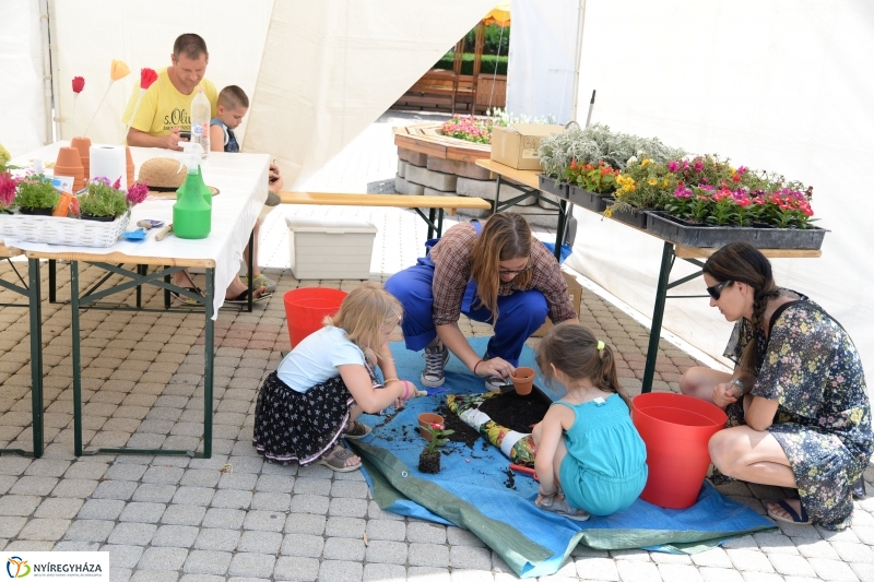 Zöldülő vidék - fotó Trifonov Éva