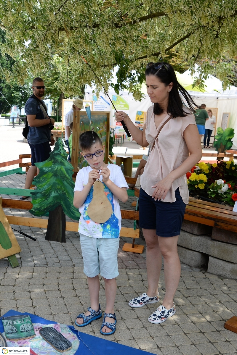 Zöldülő vidék - fotó Trifonov Éva