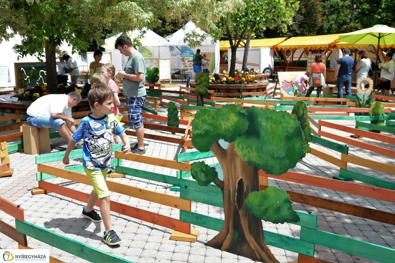 Zöldülő vidék - fotó Trifonov Éva