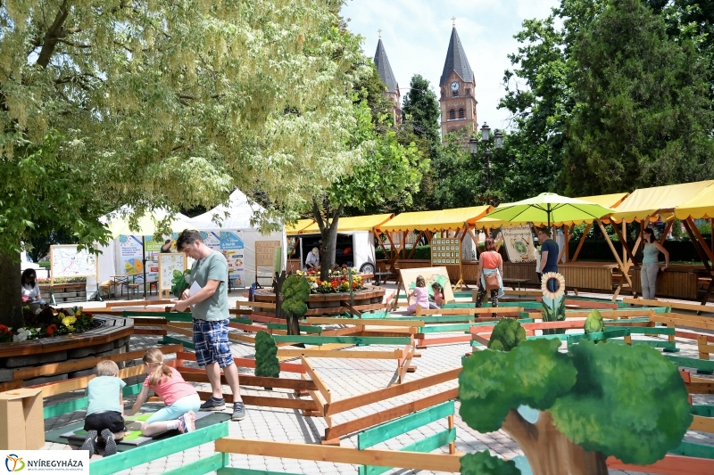 Zöldülő vidék - fotó Trifonov Éva