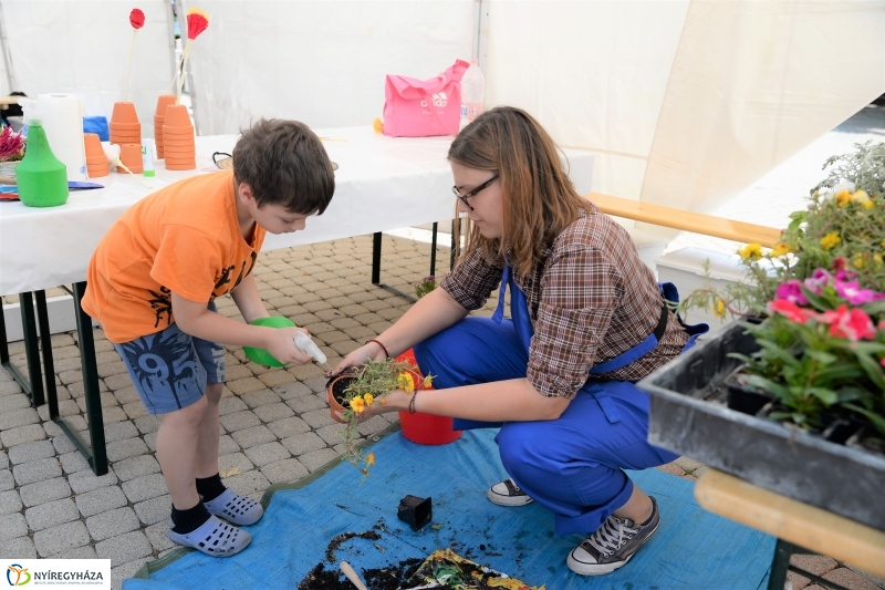 Zöldülő vidék - fotó Trifonov Éva
