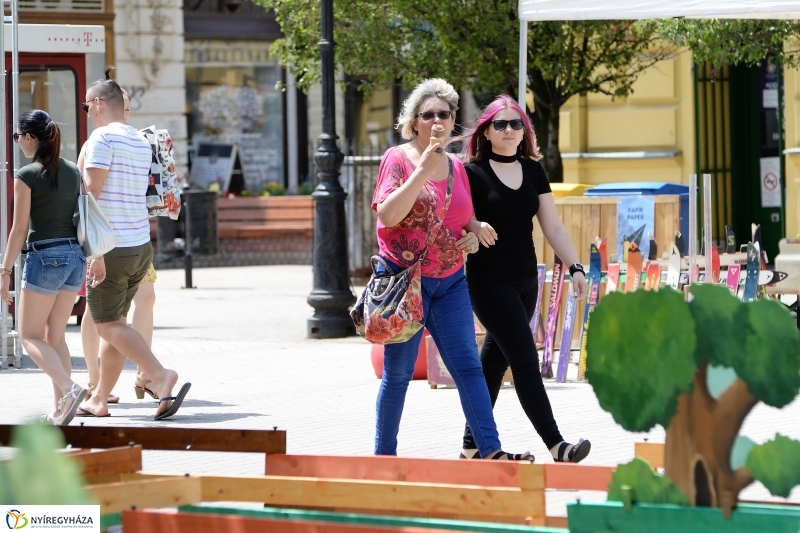 Zöldülő vidék - fotó Trifonov Éva