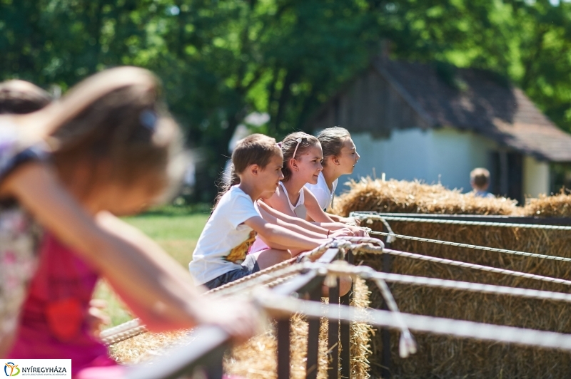 Nyári tábor a Sóstói Múzeumfaluban - fotó Szarka Lajos