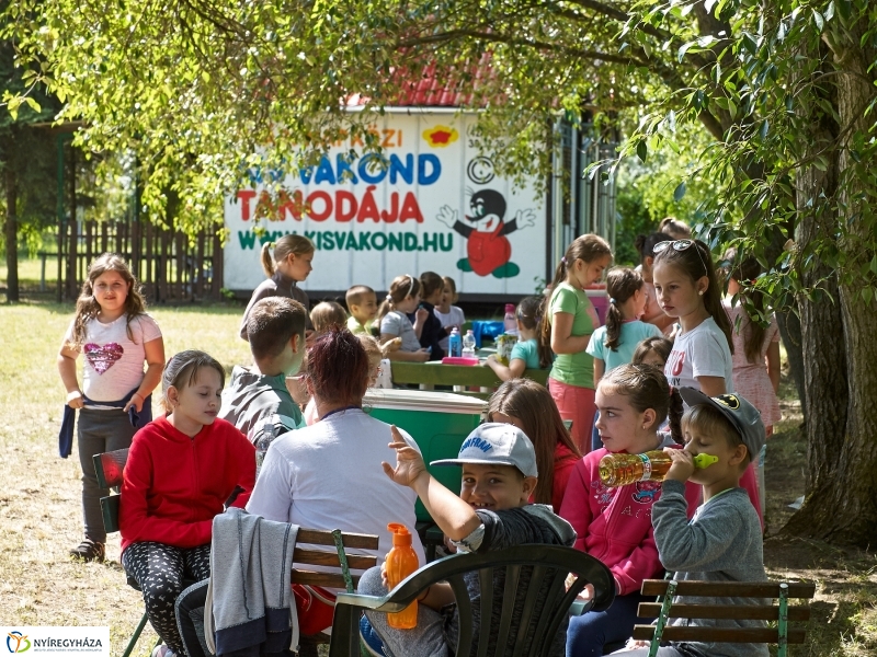 Kis vakond tábor 2018 - fotó Szarka Lajos