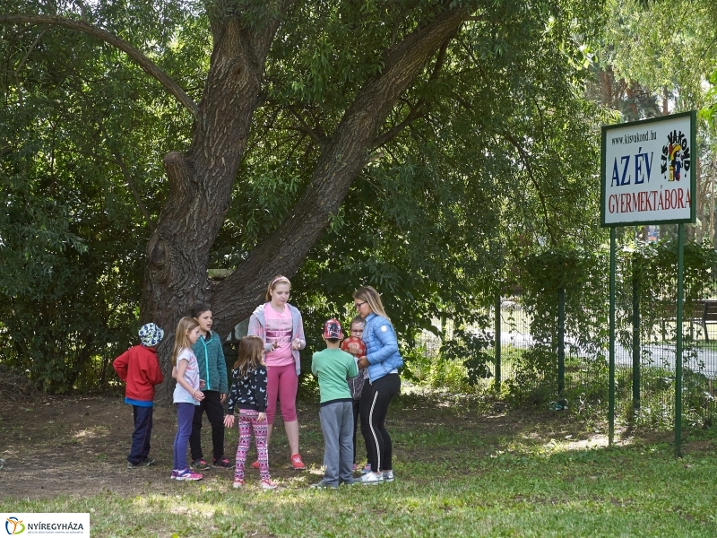 Kis vakond tábor 2018 - fotó Szarka Lajos