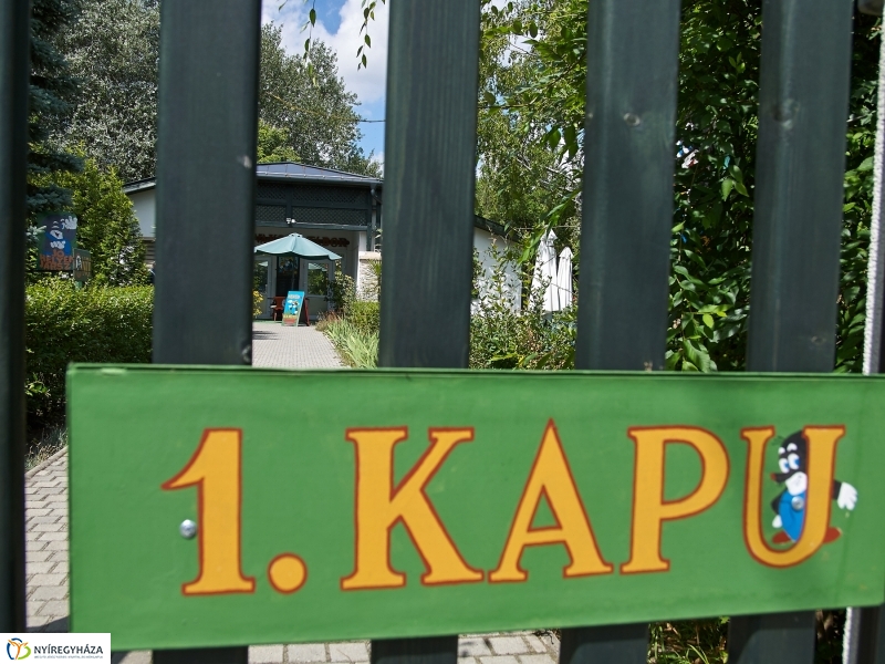 Kis vakond tábor 2018 - fotó Szarka Lajos