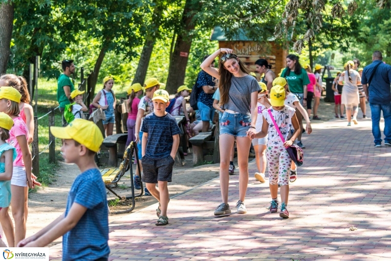 Zoo Suli a Nyíregyházi Állatparkban - Fotó Kohut Árpád