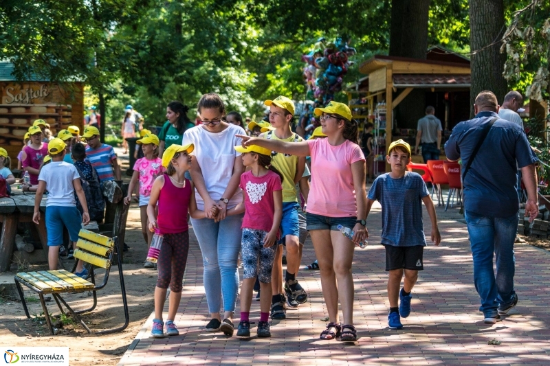 Zoo Suli a Nyíregyházi Állatparkban - Fotó Kohut Árpád