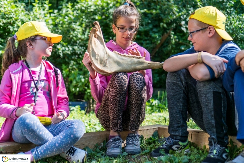 Zoo Suli a Nyíregyházi Állatparkban - Fotó Kohut Árpád