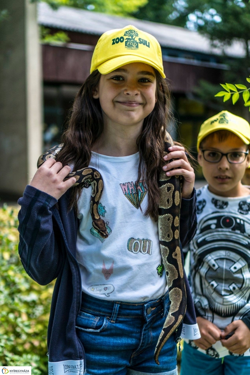 Zoo Suli a Nyíregyházi Állatparkban - Fotó Kohut Árpád