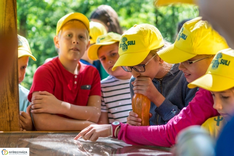 Zoo Suli a Nyíregyházi Állatparkban - Fotó Kohut Árpád