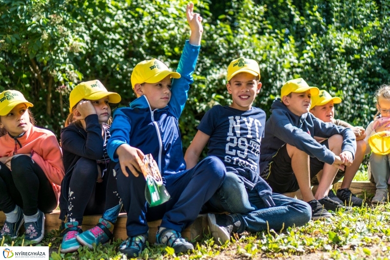 Zoo Suli a Nyíregyházi Állatparkban - Fotó Kohut Árpád
