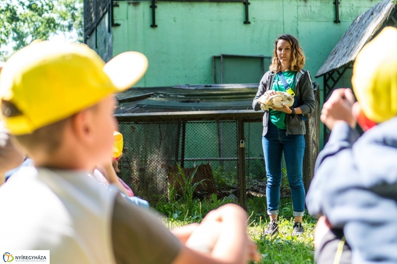 Zoo Suli a Nyíregyházi Állatparkban - Fotó Kohut Árpád