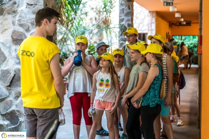 Zoo Suli a Nyíregyházi Állatparkban - Fotó Kohut Árpád