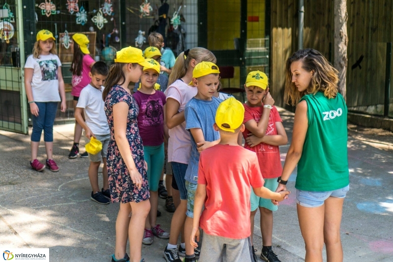 Zoo Suli a Nyíregyházi Állatparkban - Fotó Kohut Árpád