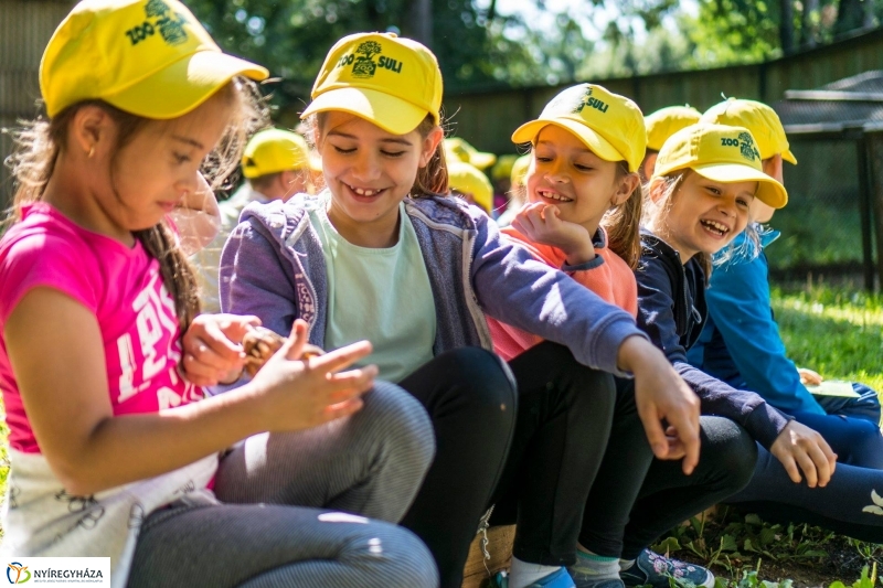 Zoo Suli a Nyíregyházi Állatparkban - Fotó Kohut Árpád