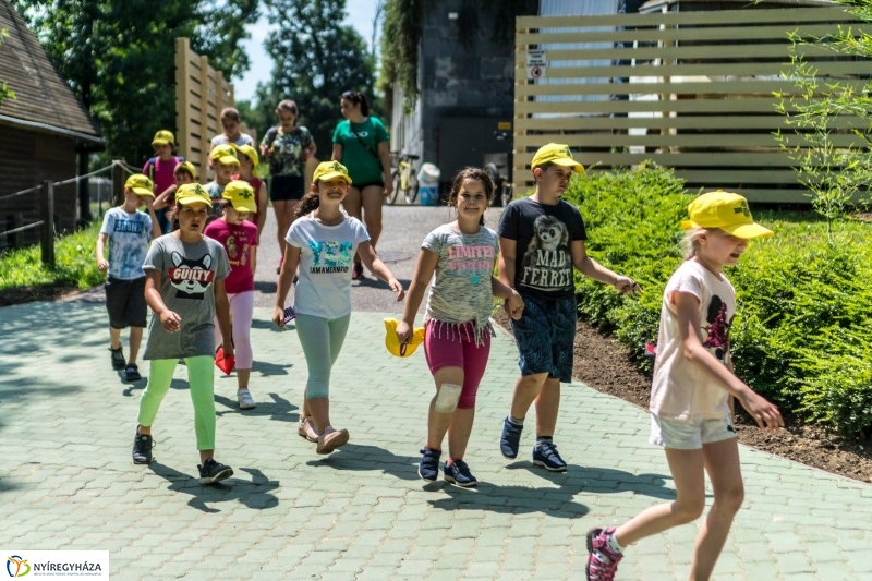 Zoo Suli a Nyíregyházi Állatparkban - Fotó Kohut Árpád