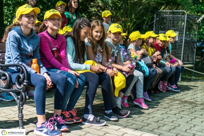 Zoo Suli a Nyíregyházi Állatparkban - Fotó Kohut Árpád