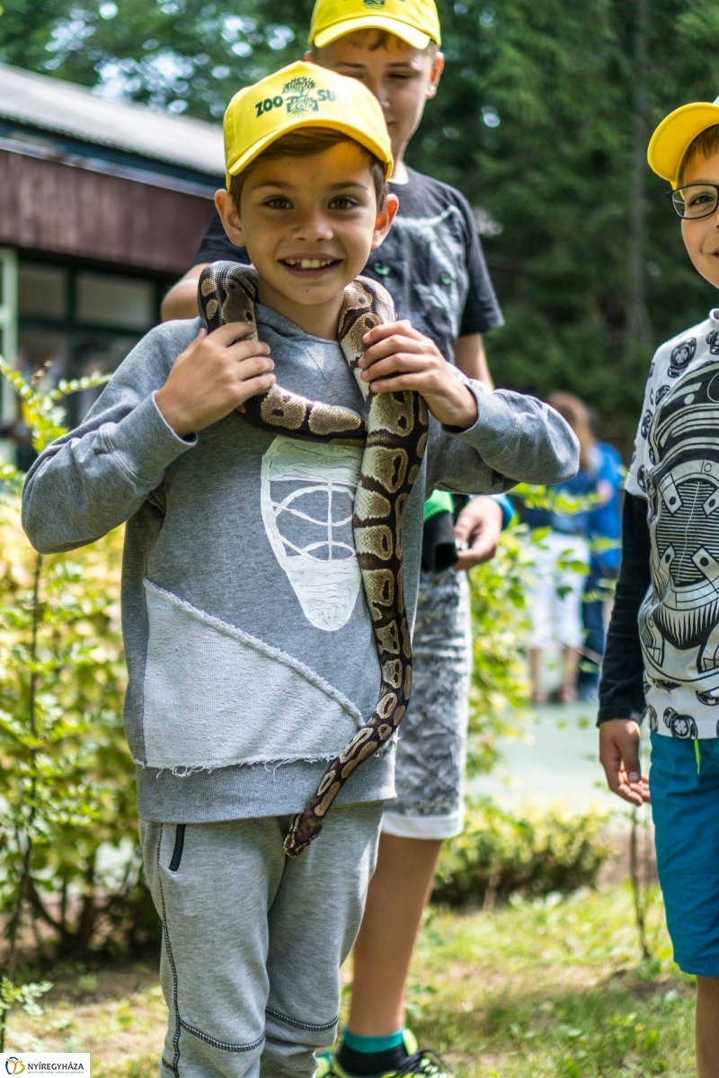 Zoo Suli a Nyíregyházi Állatparkban - Fotó Kohut Árpád