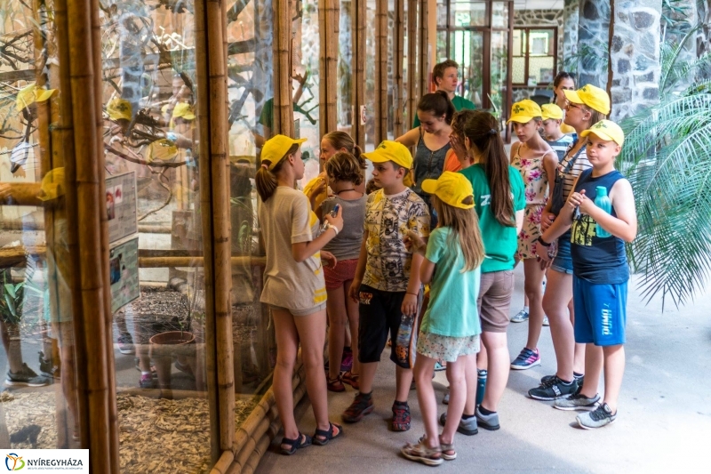 Zoo Suli a Nyíregyházi Állatparkban - Fotó Kohut Árpád