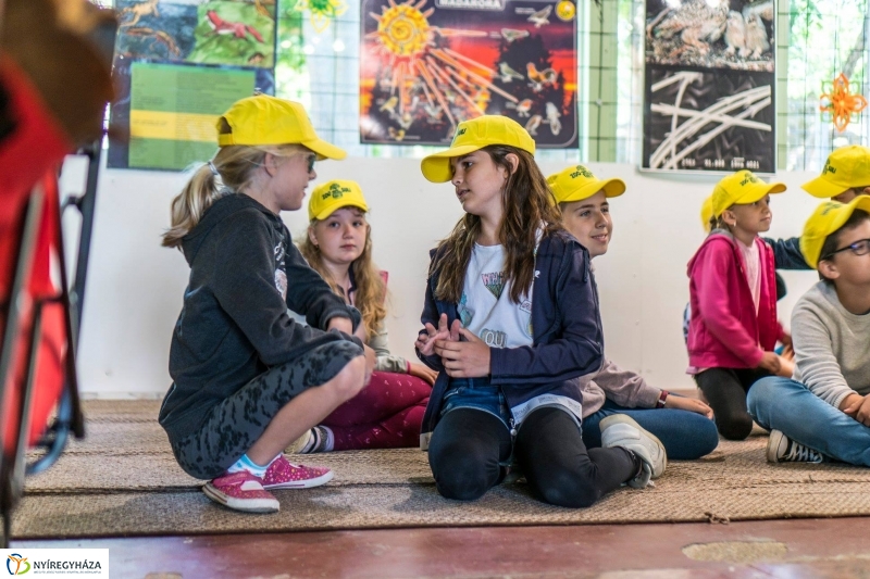 Zoo Suli a Nyíregyházi Állatparkban - Fotó Kohut Árpád