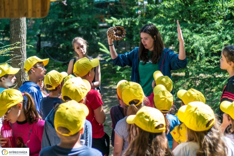 Zoo Suli a Nyíregyházi Állatparkban - Fotó Kohut Árpád