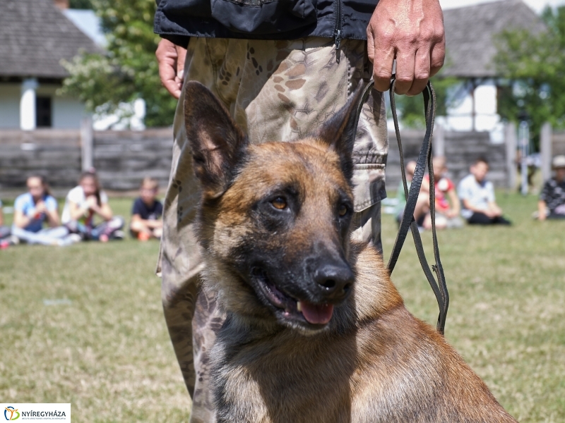 Kábítószer-ellenes világnap - fotó Szarka Lajos
