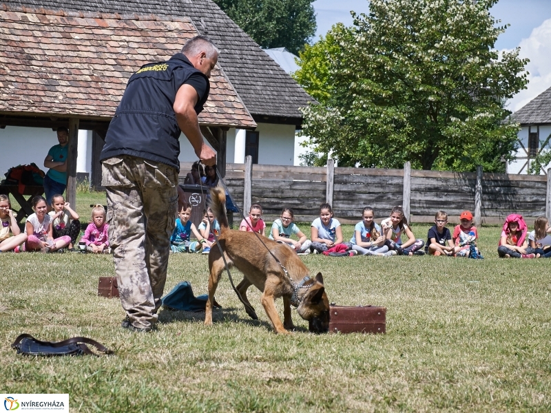 Kábítószer-ellenes világnap - fotó Szarka Lajos