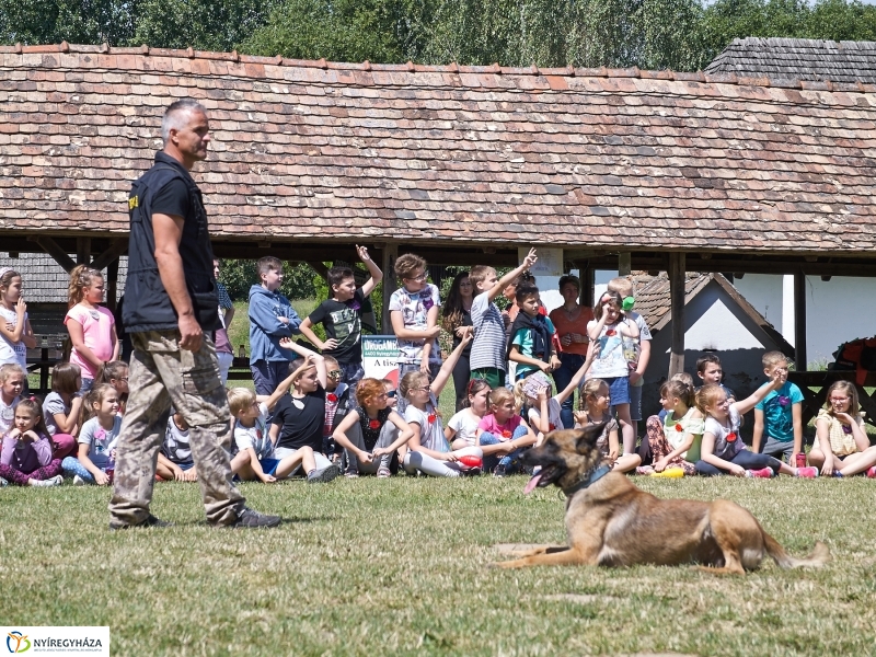 Kábítószer-ellenes világnap - fotó Szarka Lajos