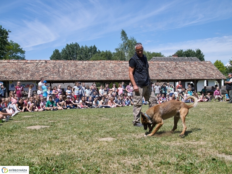 Kábítószer-ellenes világnap - fotó Szarka Lajos