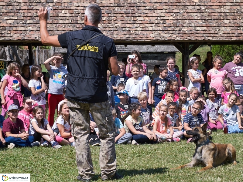 Kábítószer-ellenes világnap - fotó Szarka Lajos
