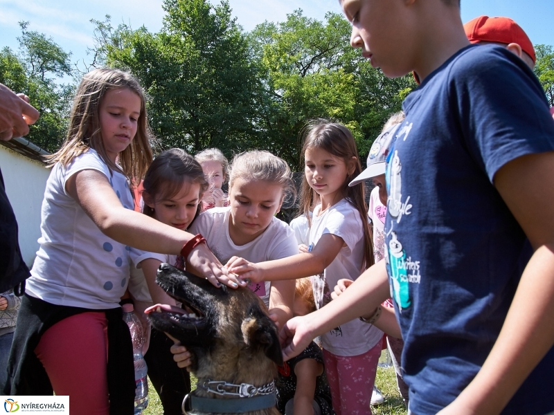 Kábítószer-ellenes világnap - fotó Szarka Lajos