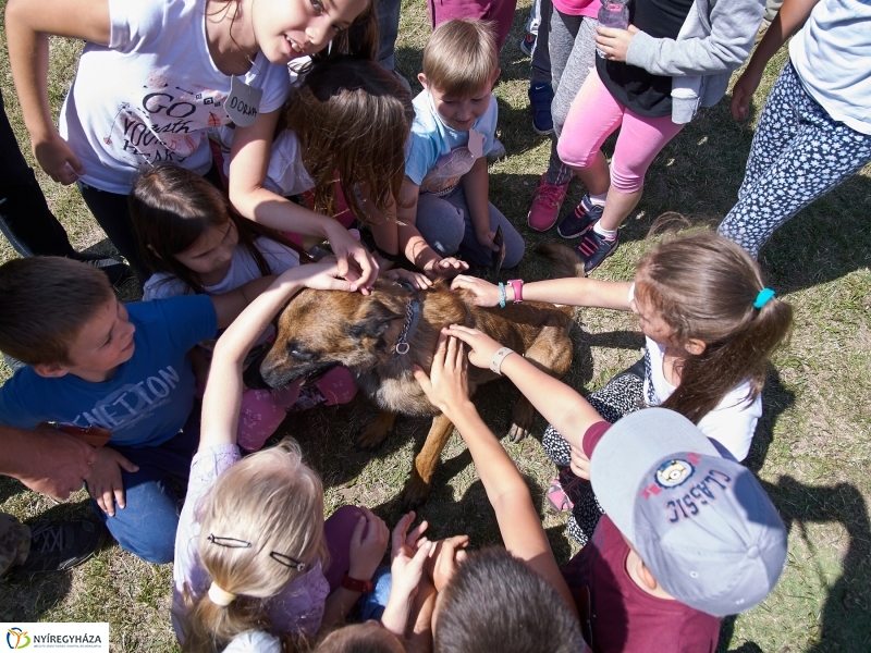 Kábítószer-ellenes világnap - fotó Szarka Lajos