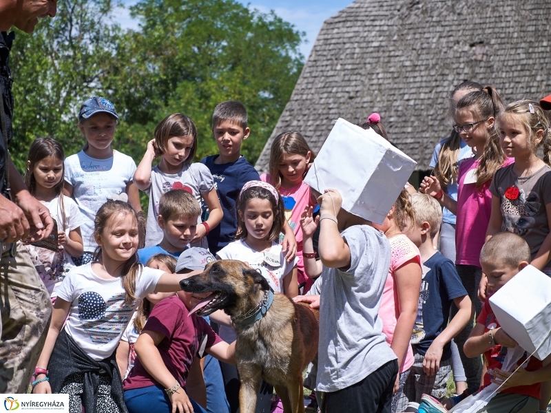 Kábítószer-ellenes világnap - fotó Szarka Lajos