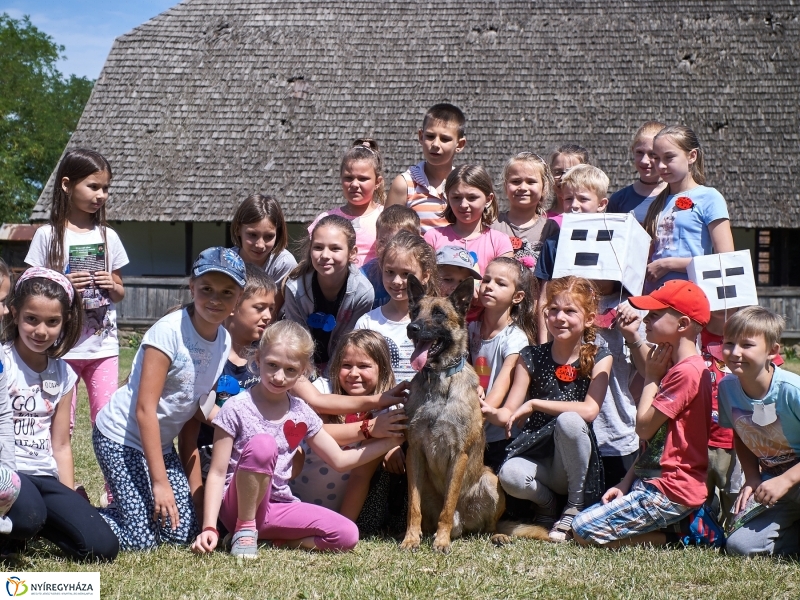 Kábítószer-ellenes világnap - fotó Szarka Lajos