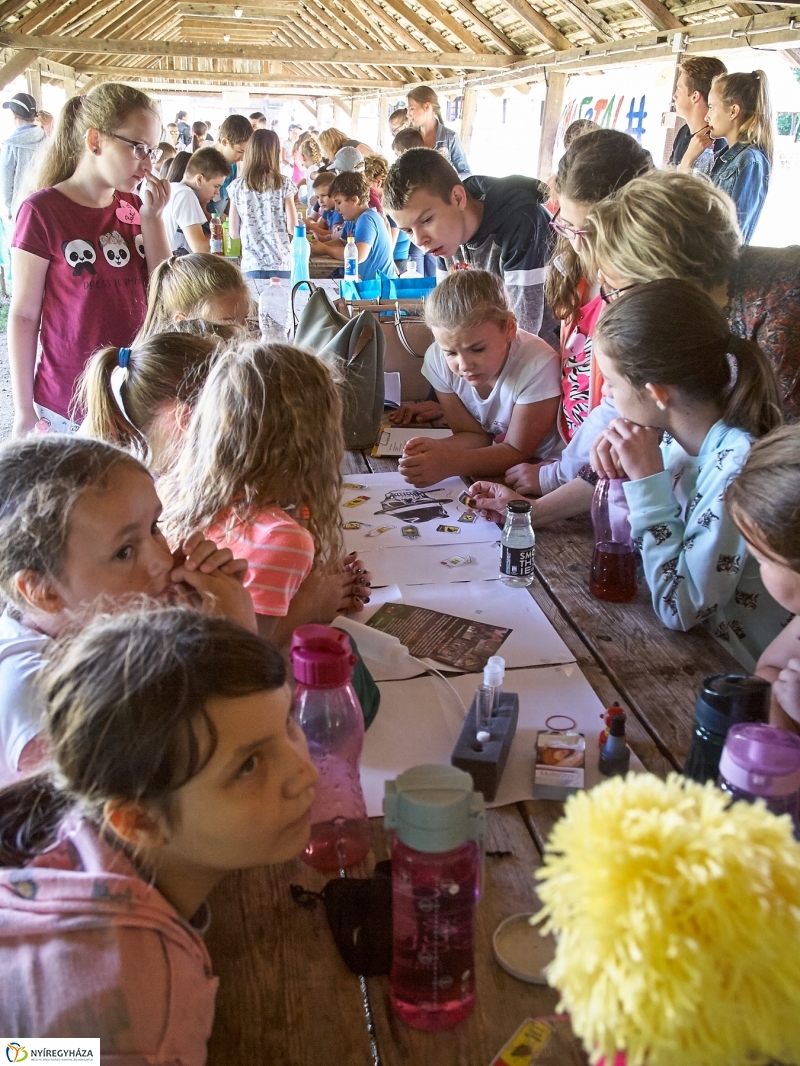 Kábítószer-ellenes világnap - fotó Szarka Lajos