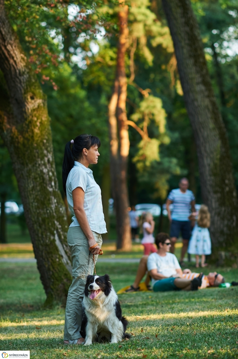 Sóstó, piac, Mentha - fotó Szarka Lajos