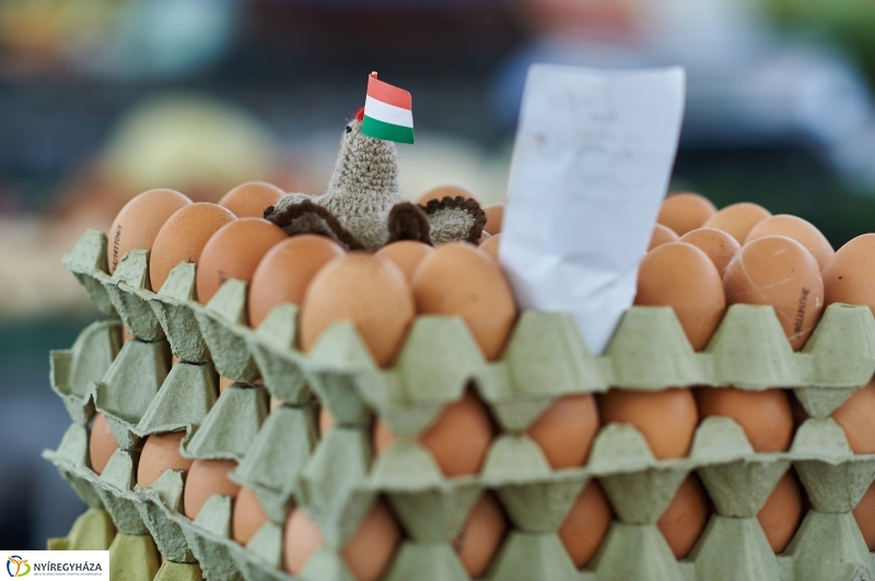 Nyári zöldség, gyümölcs - fotó Szarka Lajos