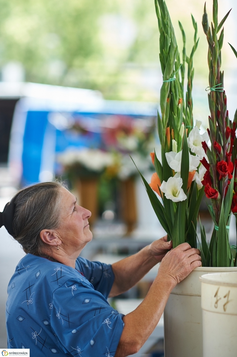 Nyári zöldség, gyümölcs - fotó Szarka Lajos