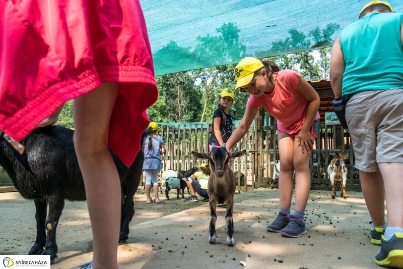 Nem unatkoznak a diákok a Zoo Suliban - fotó Kohut Árpád